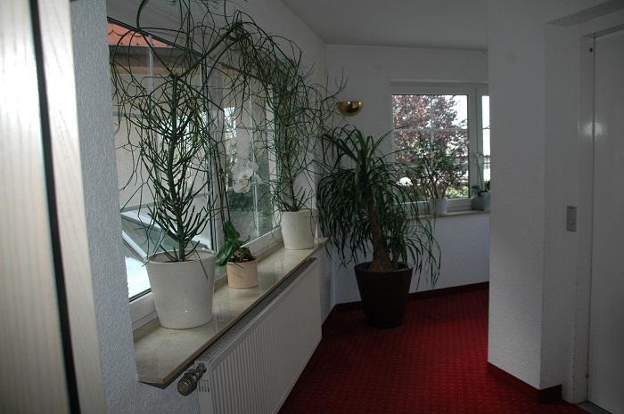 Mayers Waldhorn - Zwischen Reutlingen Und Tuebingen Kusterdingen Exterior photo
